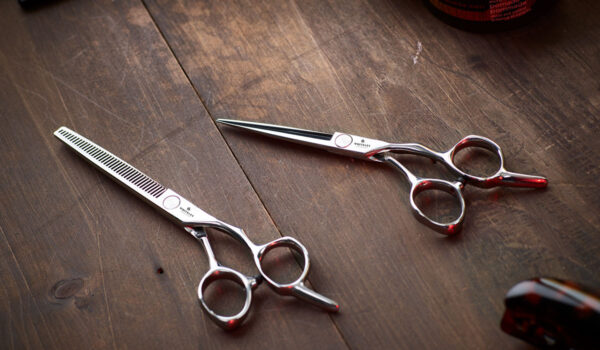 2 Piece Stainless Steel Hairdressing Scissor Set