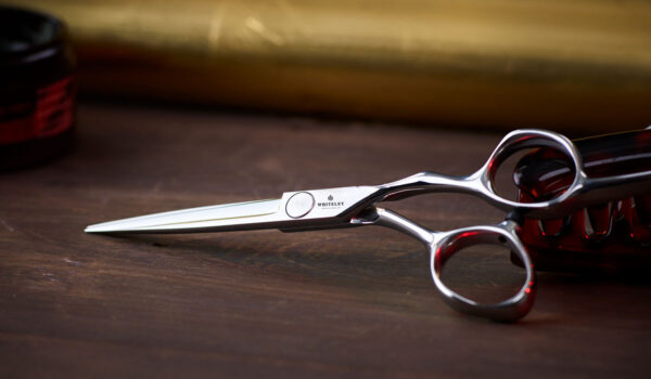 PROFESSIONAL HAIRDRESSING SCISSORS