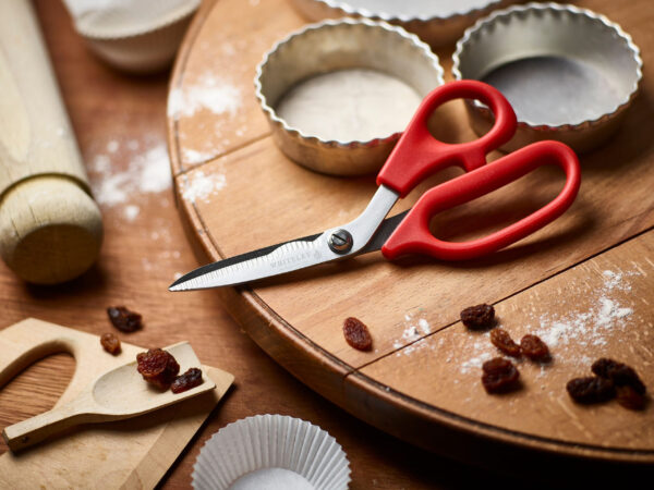 LIGHTWEIGHT KITCHEN SCISSORS